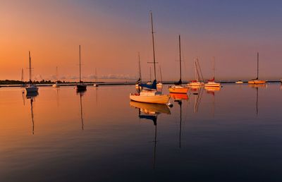 Sailboats in marina at sunset