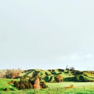 Scenic view of grassy field against sky