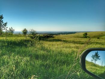 Scenic view of field against clear sky