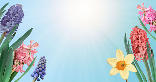 Low angle view of pink flowering plant against sky