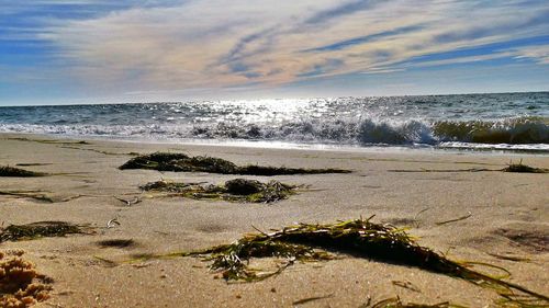 Scenic view of beach against sky