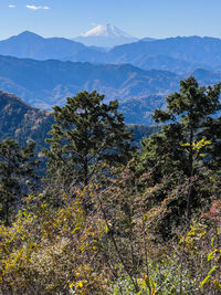 Scenic view of tree mountains against sky