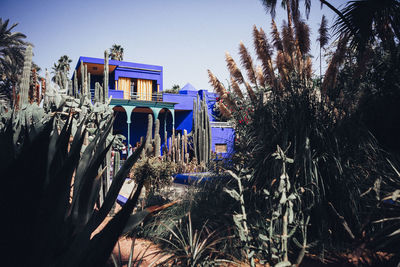 Plants by building against sky