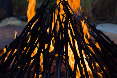 Close-up of fire on log at sunset