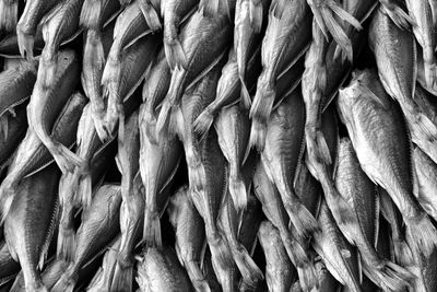 Dried salted fish