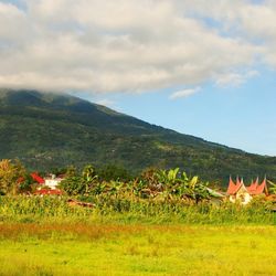 Scenic view of landscape against cloudy sky