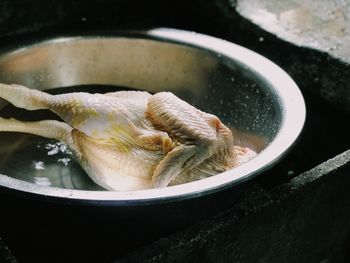 High angle view of chicken in container