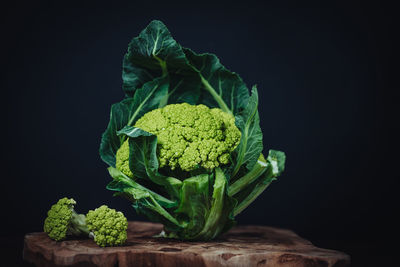 Close-up of vegetables against black background