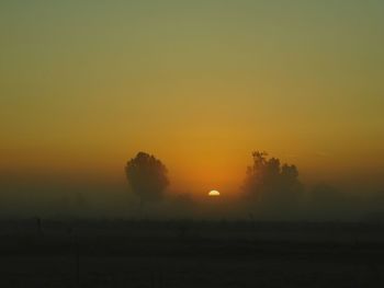 Silhouette trees on field against sky during sunset