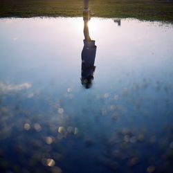 Reflection of trees in water