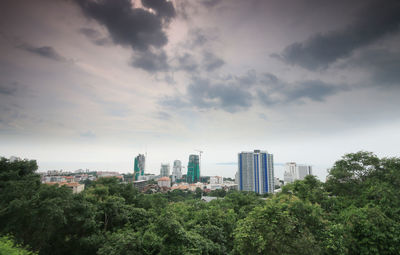 Trees and buildings against sky