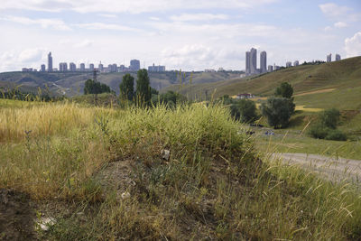 Scenic view of field against sky