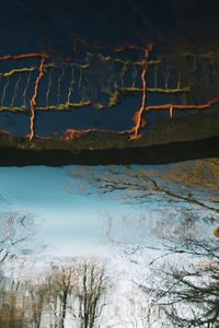 Close-up of tree by lake against sky