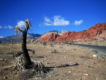 Landscape against sky