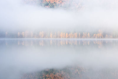 Scenic view of lake in forest against sky