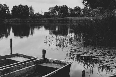 Scenic view of lake by trees against sky