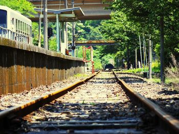 Surface level of railroad track along trees