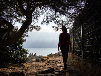 Rear view of man looking at view of trees