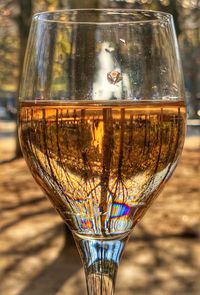 Close-up of glass of water