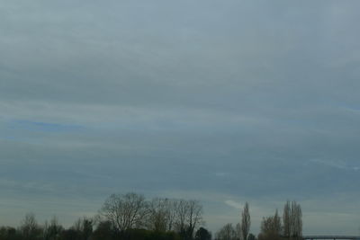 Low angle view of silhouette trees against sky