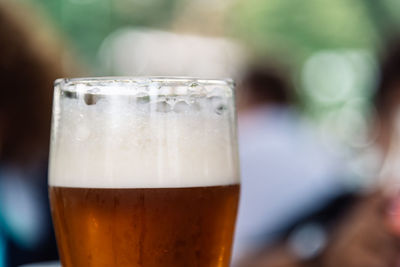 Close-up of beer in glass