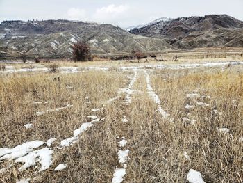Scenic view of snow covered field against sky