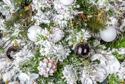 High angle view of christmas tree in snow