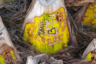 High angle view of information sign on tree trunk