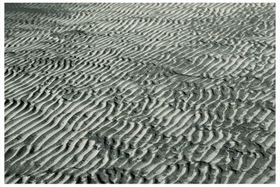 High angle view of beach