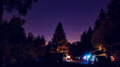 Illuminated trees against sky at night