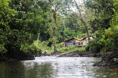 River amidst trees and houses in forest