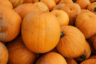 Full frame shot of pumpkins at market stall