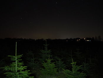 Plants and landscape against sky at night