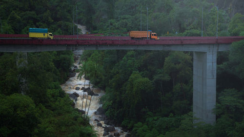 Bridge in deep forest