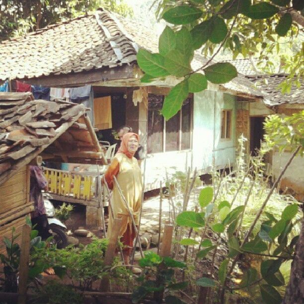 building exterior, built structure, architecture, house, plant, residential structure, leaf, front or back yard, day, outdoors, tree, growth, roof, drying, window, residential building, one person, potted plant, sunlight, abandoned