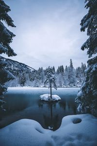 Frozen lake and trees against sky during winter