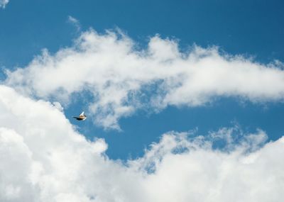 Low angle view of airplane flying against sky