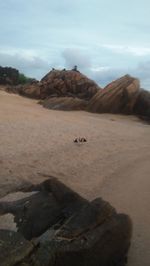 View of rock formation on land against sky