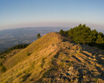 Scenic view of landscape against clear sky