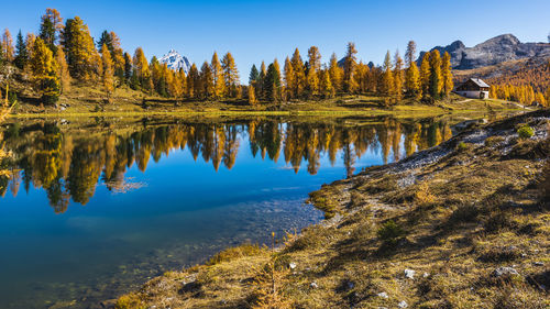 Scenic view of lake by trees against blue sky