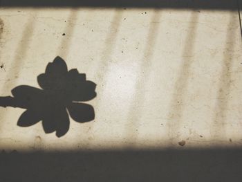 Close-up of shadow on wall