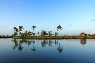 Reflection of trees in calm lake