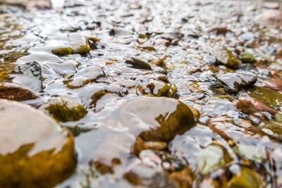 Full frame shot of water flowing in river