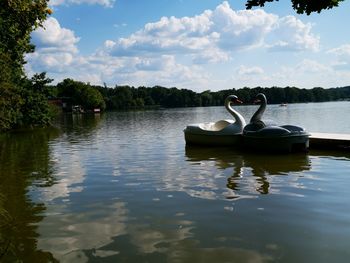 Boat in a lake