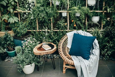 Cushion on seat against plants in greenhouse