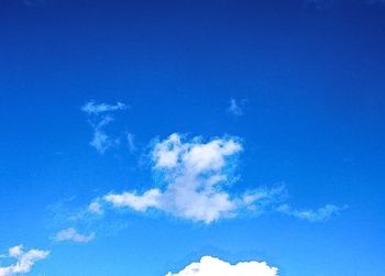 Low angle view of trees against blue sky