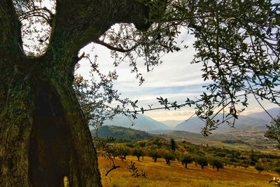 Scenic view of landscape and mountains against sky