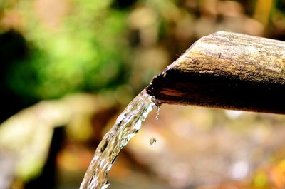 Close-up of raindrops on frozen plant