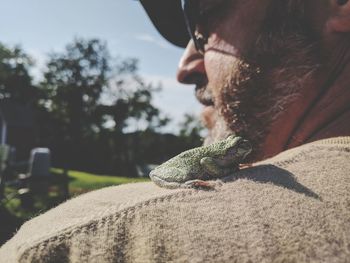 Close-up of frog