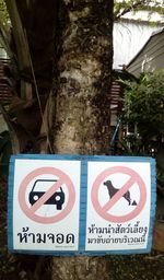 Close-up of road sign on tree trunk